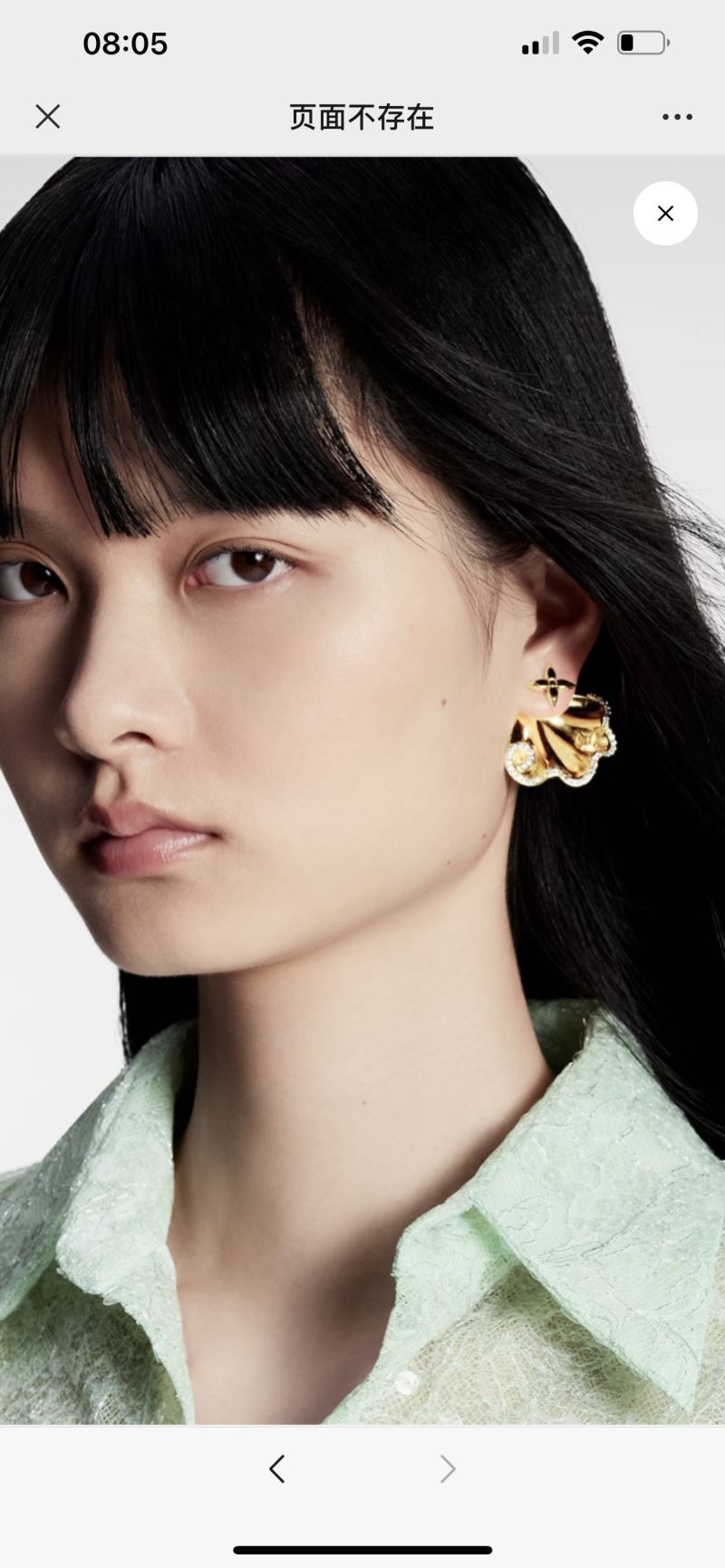 LV Earrings